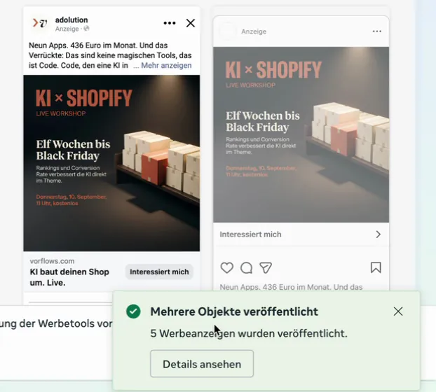 Screenshot: Anzeigenvorschau für Feed und Story, Meldung Mehrere Objekte veröffentlicht, 5 Werbeanzeigen wurden veröffentlicht